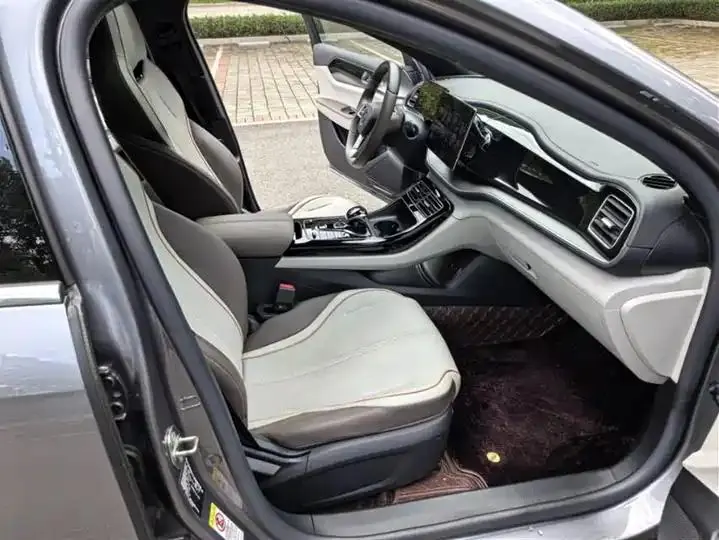 Qin PLUS 2024 Glory Edition DM-i 55KM Exceed 8