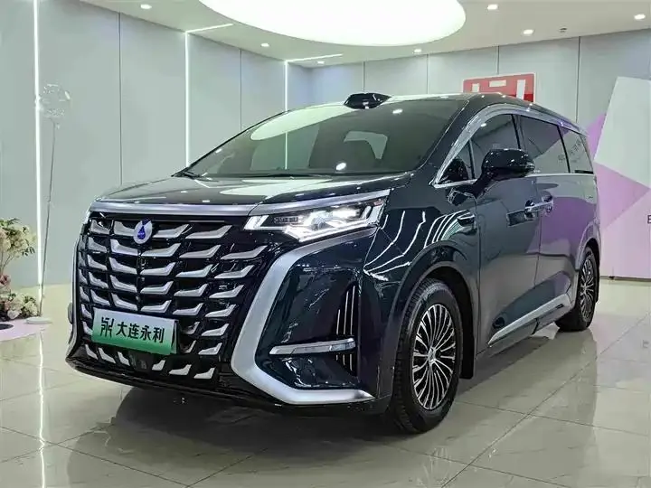 Denza D9 2025 DM-i Smart Driving Edition 1020 Four-wheel Drive Premium - View 1