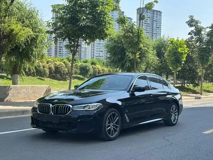 BMW 5 series new energy 2021 535Le M sports suit - View 1