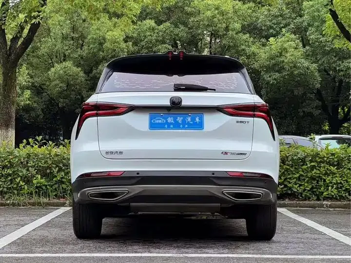 ChangAn CS75 PLUS 2020 1.5T Auto Luxury Model 6