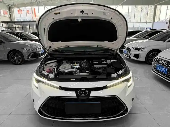 Levin 2023 185T CVT Luxury Edition 20