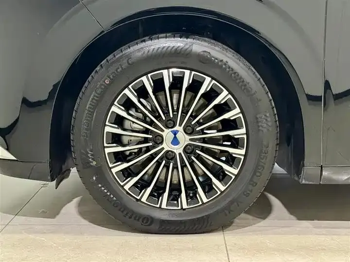 Denza D9 2024 DM-i 980 4-wheel drive Honor Model 10