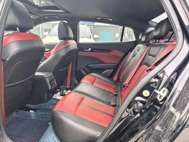 Yixuan 2022 230T Automatic Tiger Roar Edition 10
