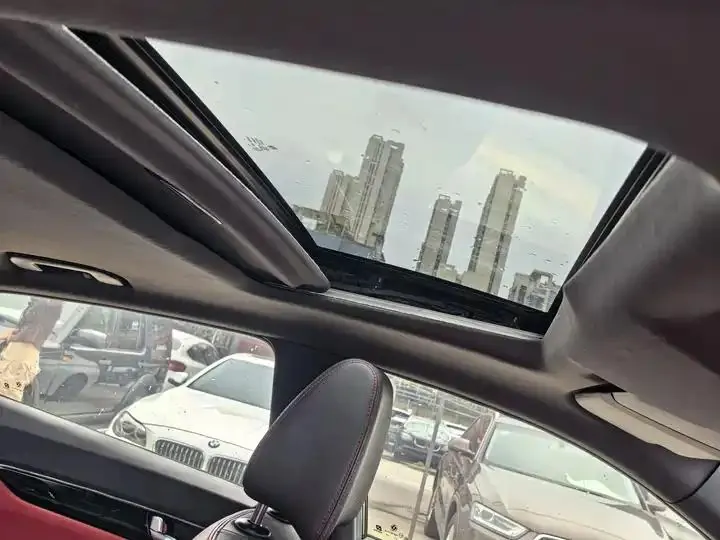 Yixuan 2022 230T Automatic Tiger Roar Edition 11