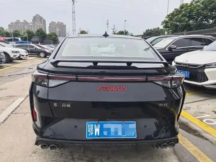 Yixuan 2022 230T Automatic Tiger Roar Edition 12