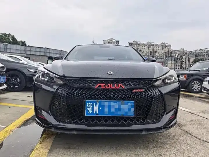 Yixuan 2022 230T Automatic Tiger Roar Edition 2