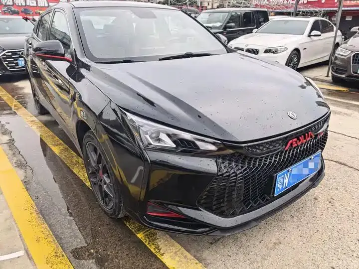 Yixuan 2022 230T Automatic Tiger Roar Edition 3