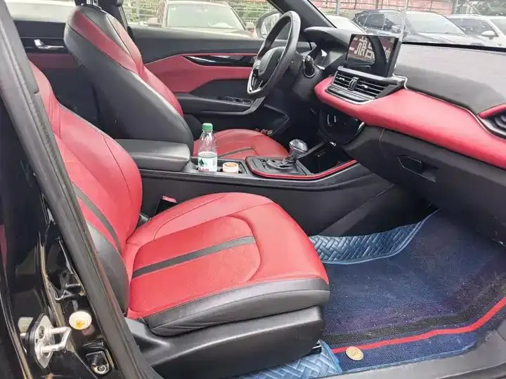Yixuan 2022 230T Automatic Tiger Roar Edition 7