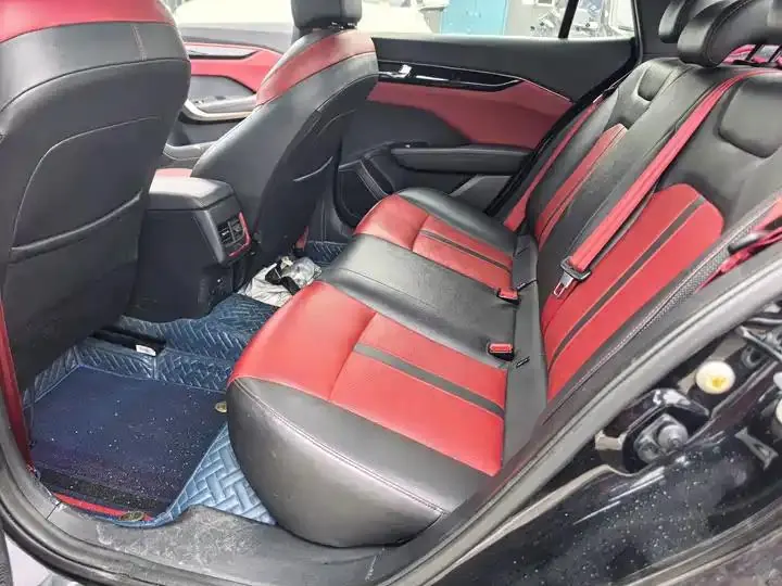 Yixuan 2022 230T Automatic Tiger Roar Edition 8