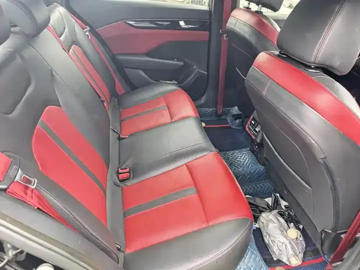 Yixuan 2022 230T Automatic Tiger Roar Edition 9