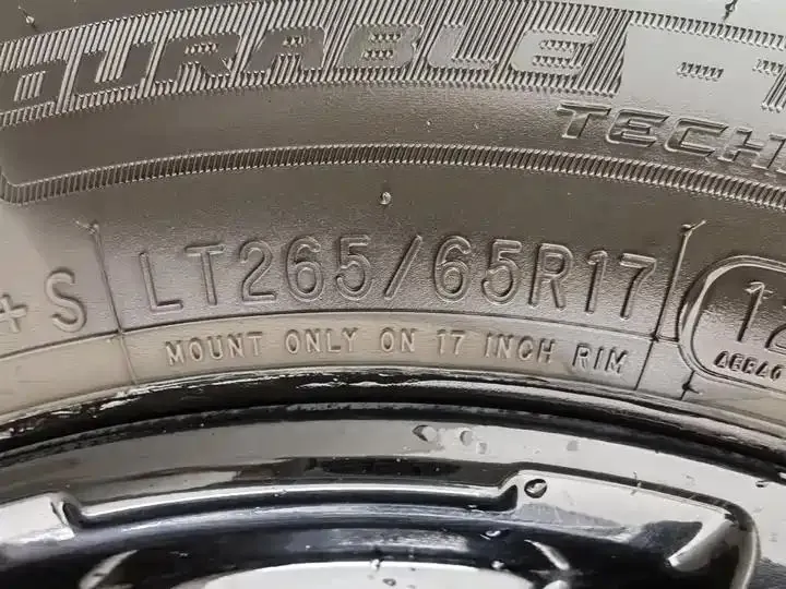 Tank 300 2021 Off-road Edition 2.0T Conqueror 24