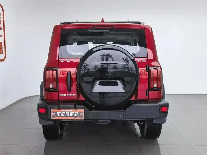 Tank 300 2021 Off-road Edition 2.0T Conqueror 4