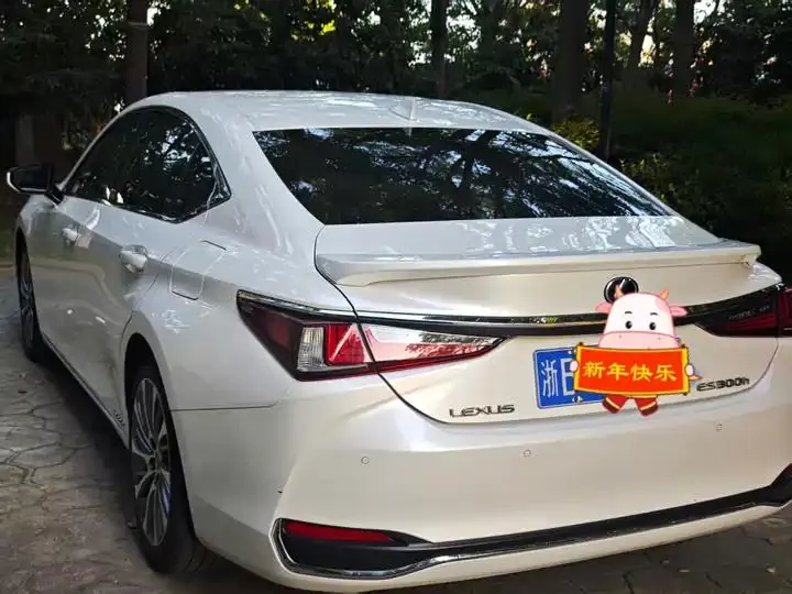 Lexus ES 2021 300h Prestige Edition 6