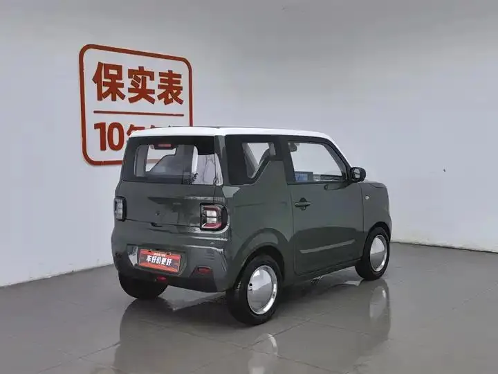 Panda 2023 panda mini 200km smart bear 2
