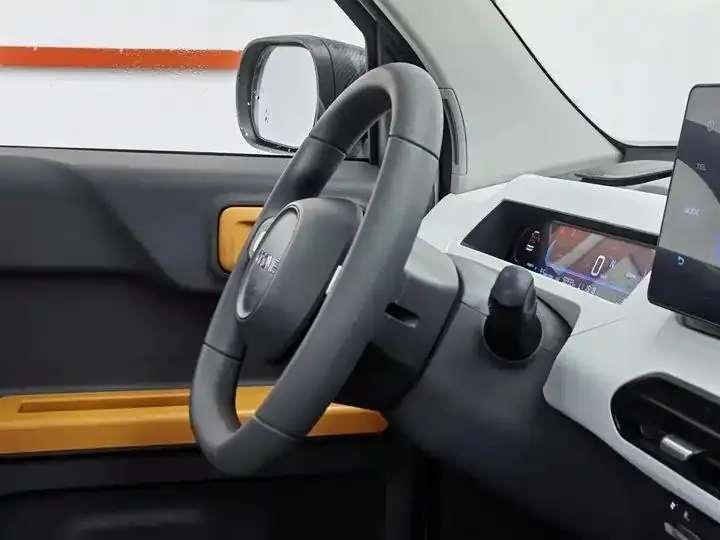 Panda 2023 panda mini 200km smart bear 22