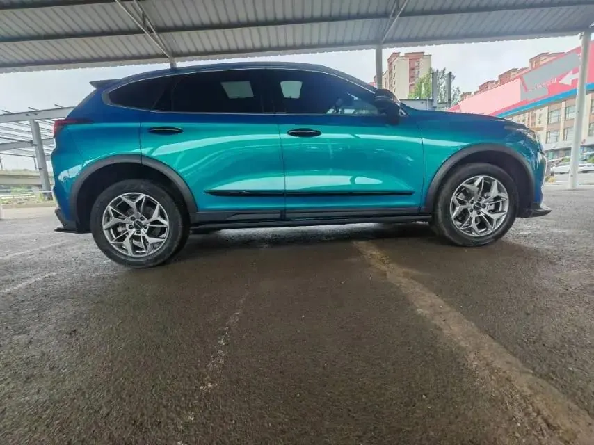 Haval Red Rabbit 2022 Jin Xiang Edition 1.5T Copper Rabbit 12