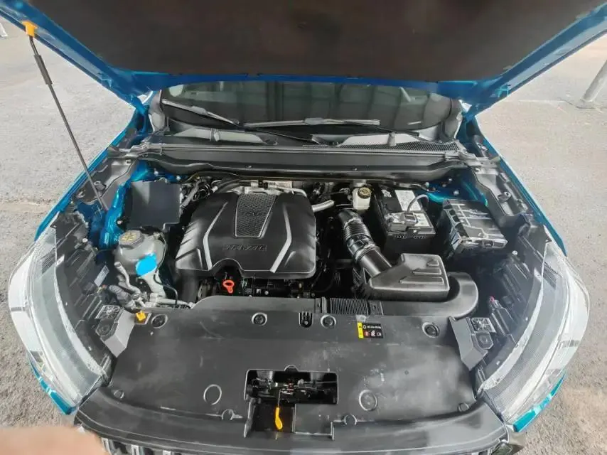 Haval Red Rabbit 2022 Jin Xiang Edition 1.5T Copper Rabbit 13