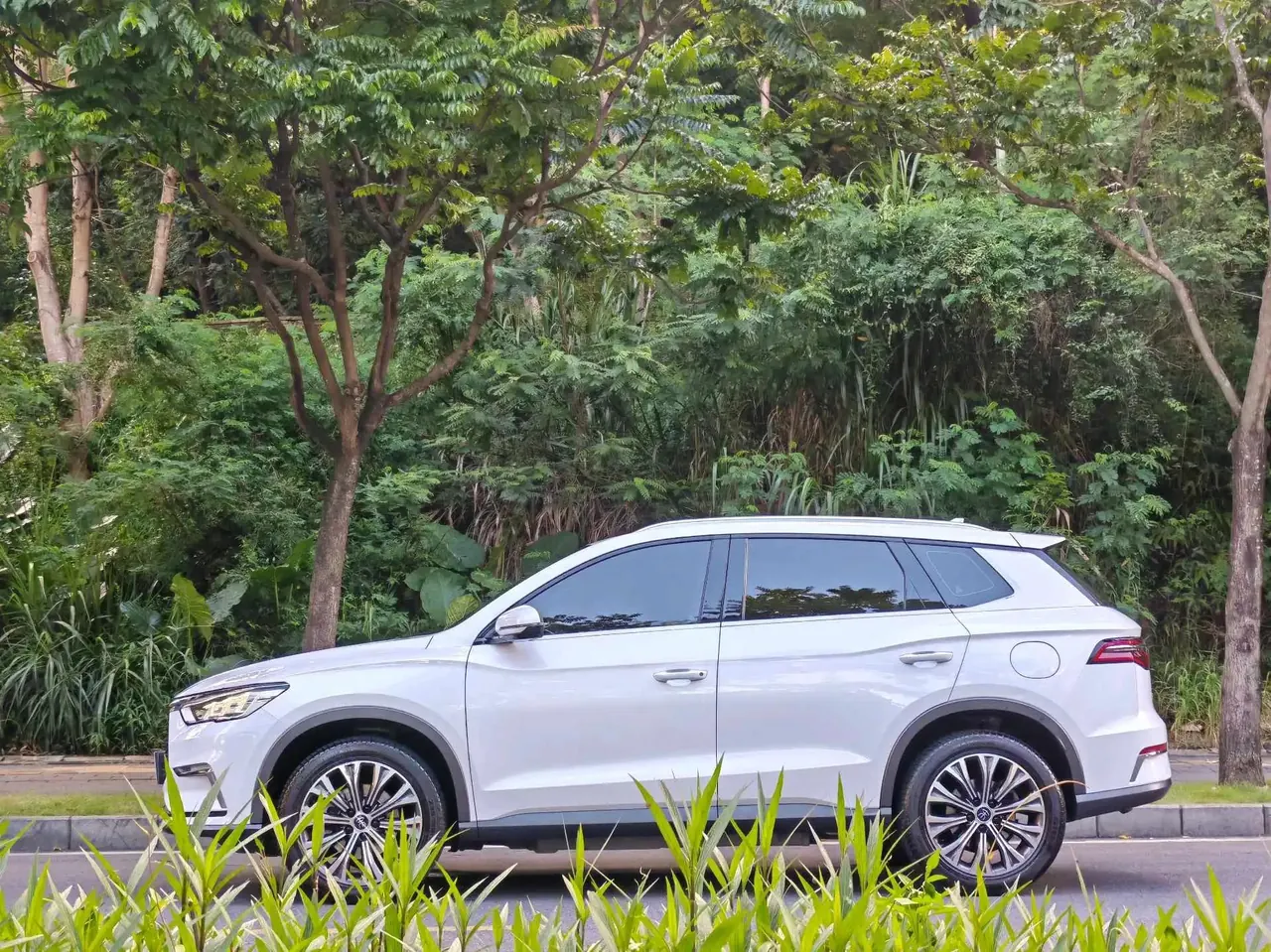 Song Pro New Energy 2019 DM 1.5T Four-wheel Drive Performance Edition Deluxe 5