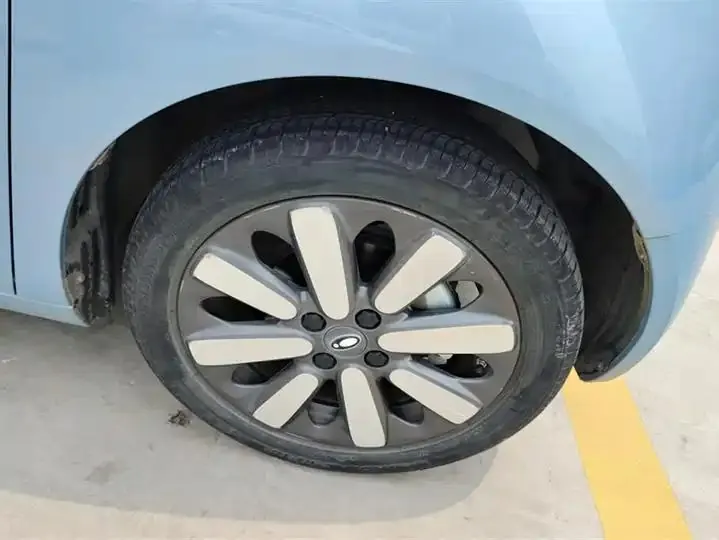 Ora Black Cat 2022 351km Standard Ternary Lithium 6