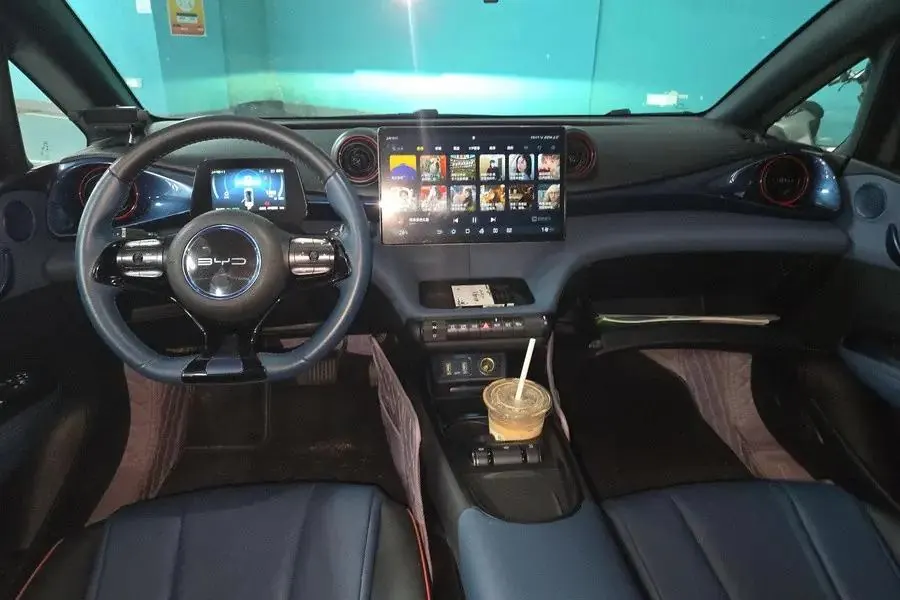 Dolphin 2021 401km Knight Edition 4
