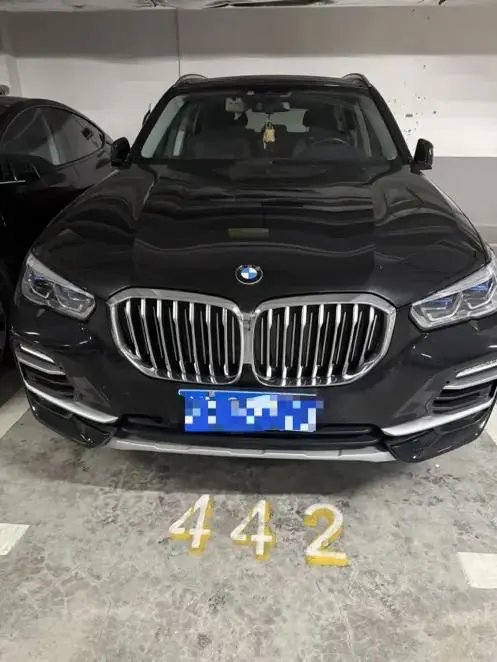 BMW X5 (Imported) 2020 xDrive30i X Design Set 5