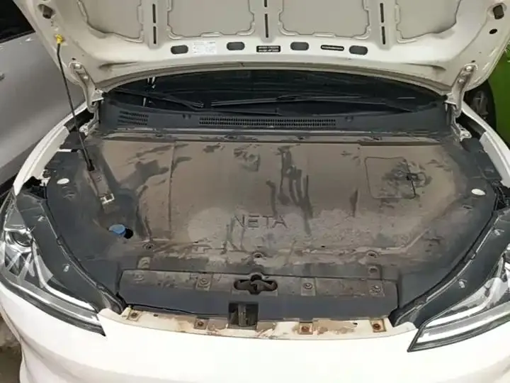 Neta V 2021 Standard Endurance Entertainment Edition Upgrade 20