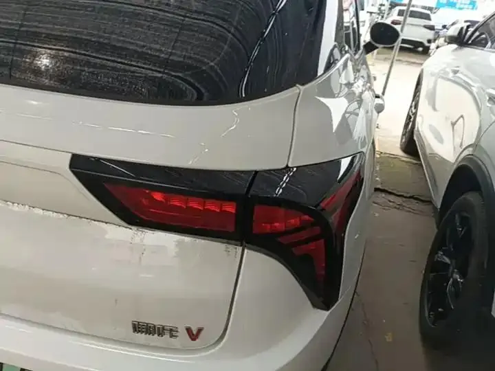 Neta V 2021 Standard Endurance Entertainment Edition Upgrade 8