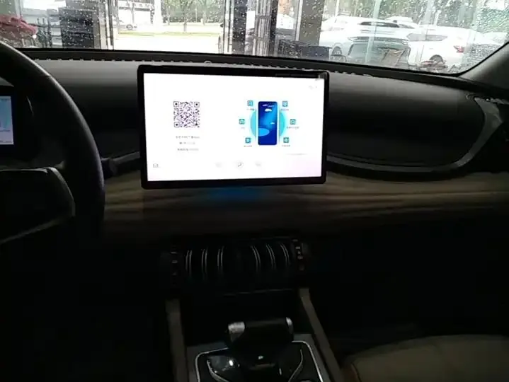 Yuan PLUS 2023 Champion Edition 510KM Exceed 13