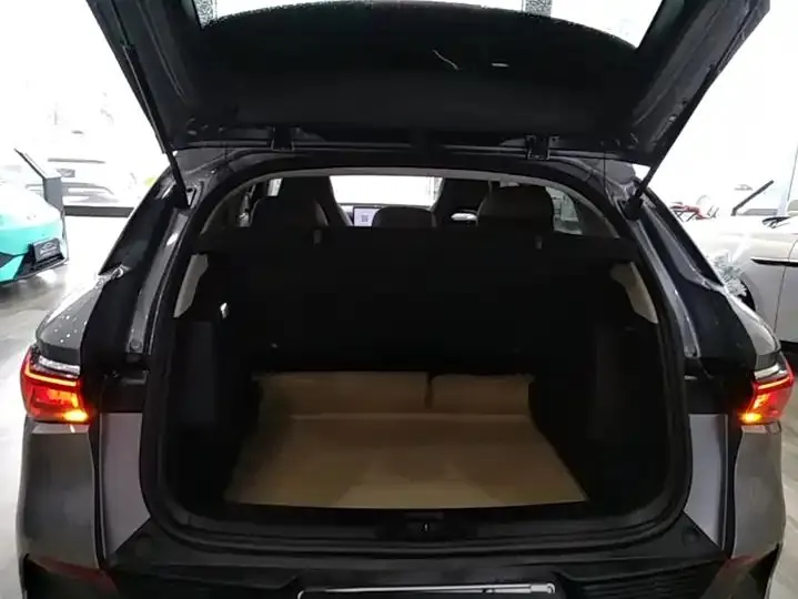 Yuan PLUS 2023 Champion Edition 510KM Exceed 19