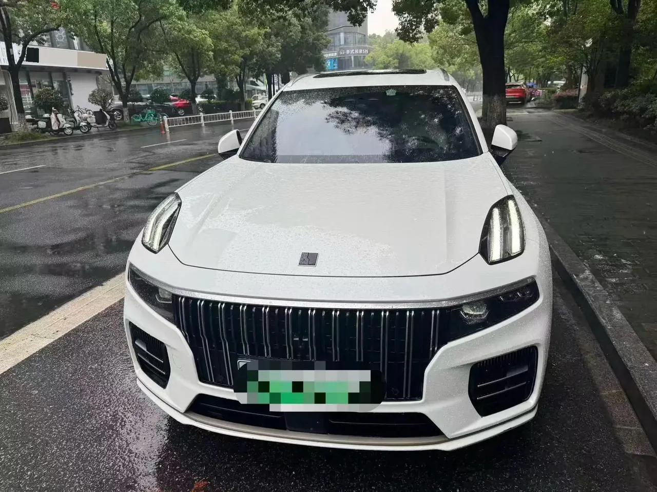 LYNK&amp;CO 09 New Energy 2021 2.0T PHEV Ultra 6 2