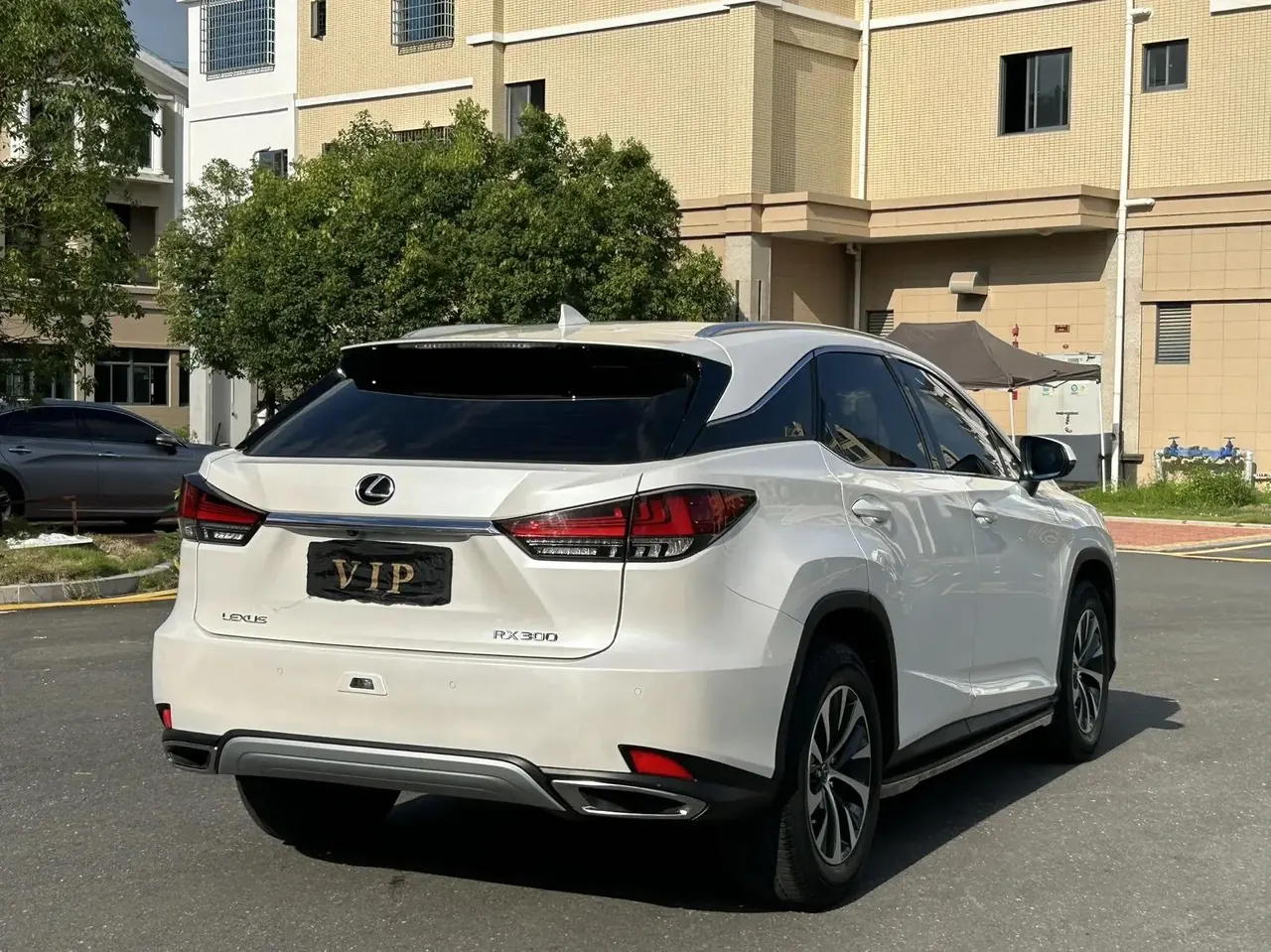 Lexus RX 2020 15000.00g Drive Elite Edition National V 4