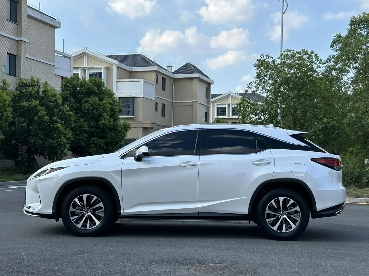 Lexus RX 2020 15000.00g Drive Elite Edition National V 5