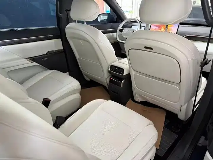 eπ008 2024 Model 636Max All-Electric Version, 6-Seater 8