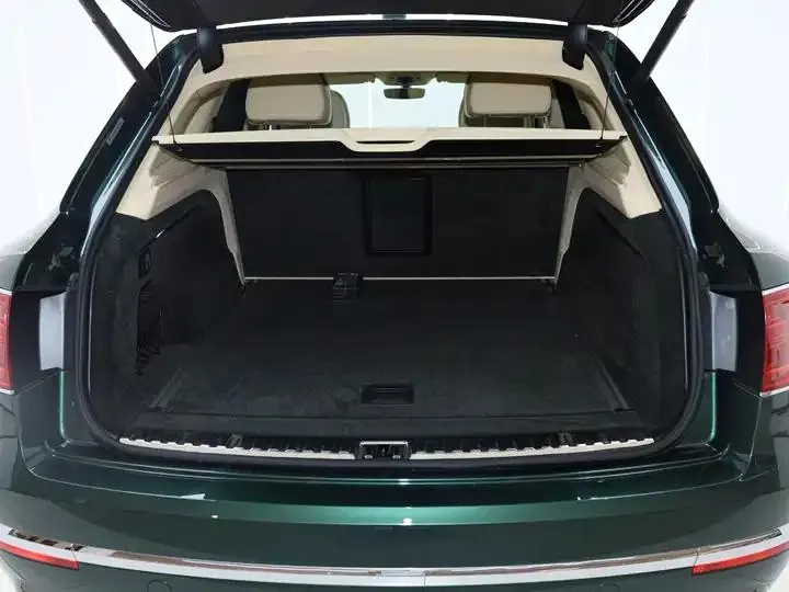 Add more 2018 4.0T V8 13