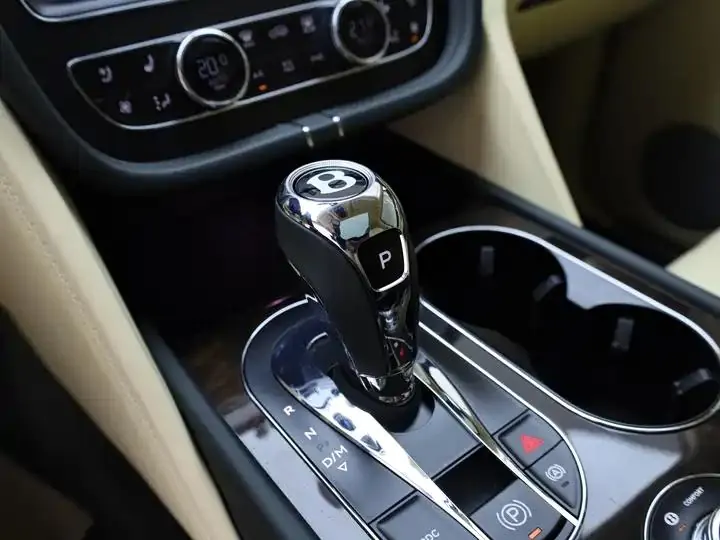 Add more 2018 4.0T V8 14