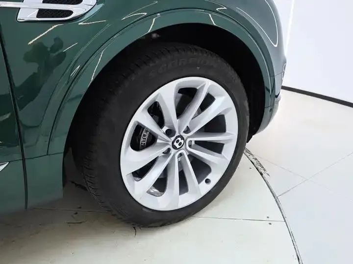 Add more 2018 4.0T V8 23