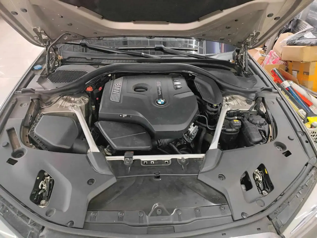 BMW 5 Series 2020 530Li Leading Luxury Suit 10