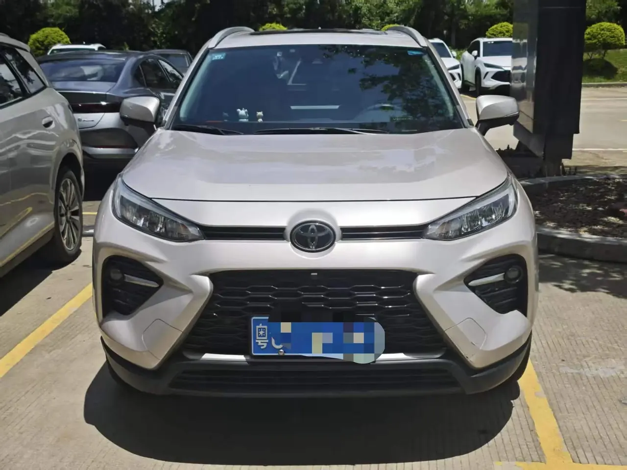 Wildlander 2020 2.0L CVT Front-Wheel-Drive Luxury Edition 2