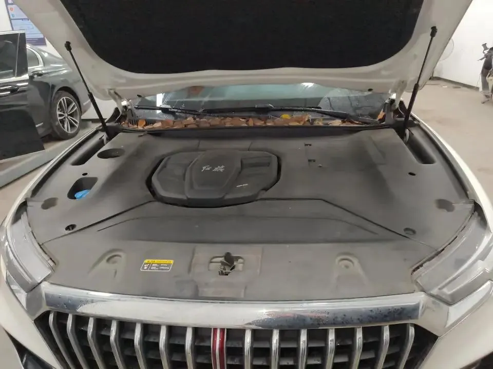 HongQi HS5 2019 2.0T Smart Flag Enjoy Four-wheel Drive Edition 10