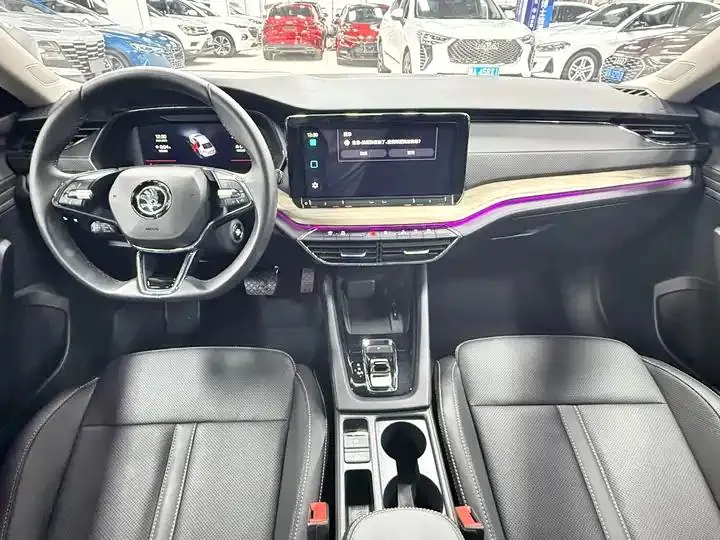Ming Rui 2022 PRO TSI280 Luxury Edition 19