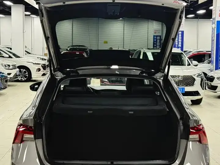 Ming Rui 2022 PRO TSI280 Luxury Edition 20