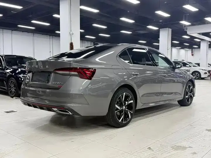Ming Rui 2022 PRO TSI280 Luxury Edition 4