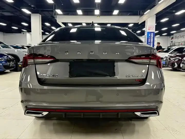 Ming Rui 2022 PRO TSI280 Luxury Edition 5