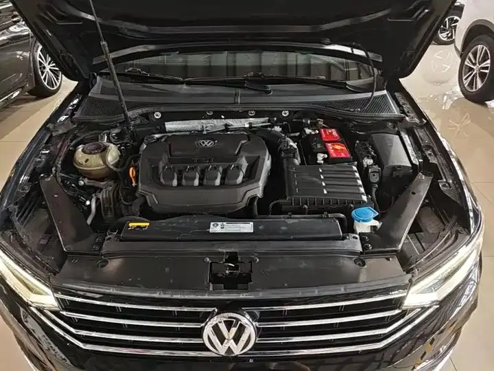 Magotan 2020 330TSI DSG Luxury Edition 20
