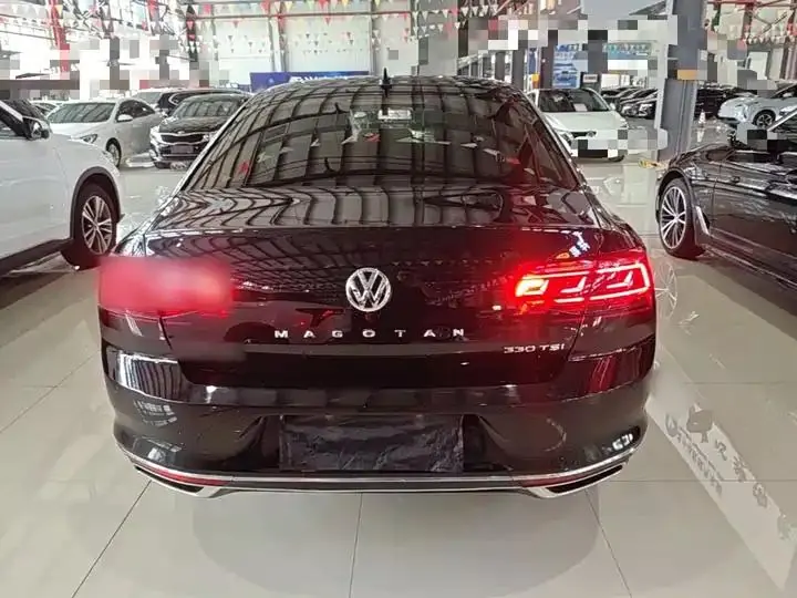 Magotan 2020 330TSI DSG Luxury Edition 6