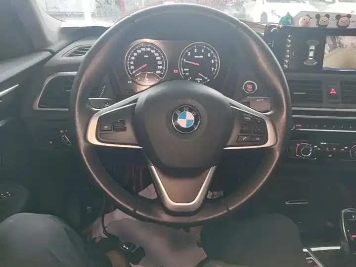 BMW 1 Series 2020 120i Luxury Model 11