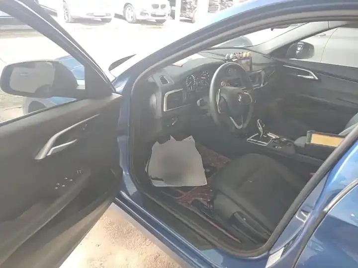 BMW 1 Series 2020 120i Luxury Model 16