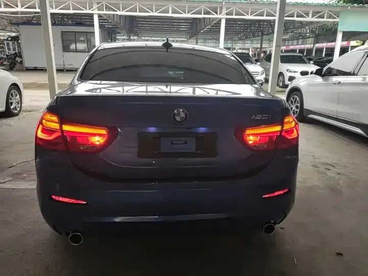 BMW 1 Series 2020 120i Luxury Model 6
