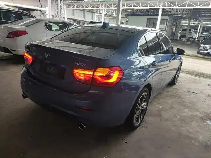 BMW 1 Series 2020 120i Luxury Model 7
