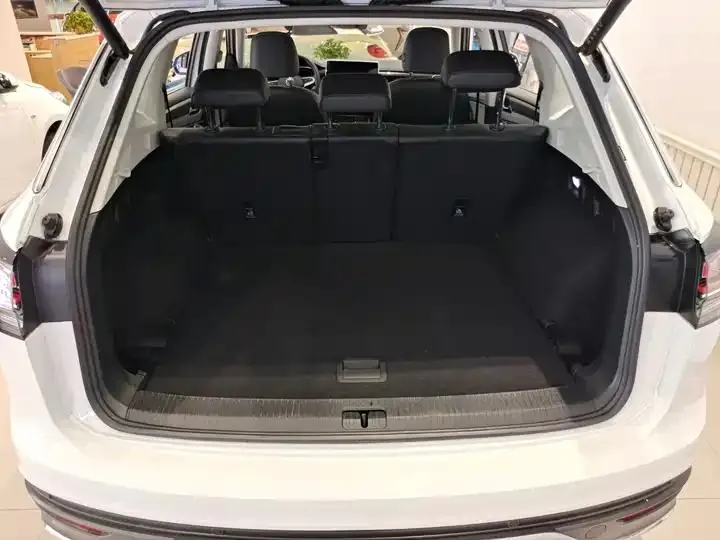 Tan Yue 2023 300TSI Two-Drive Luxury Plus Advanced Edition 10